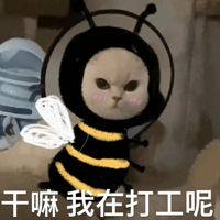 829ֵҴǴź 17.9ľʿп19