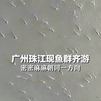 齭ۣһȺΣǷձˮйأ