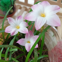 ���������Ļ�������������������