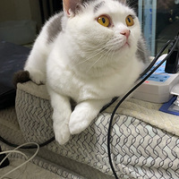 ���׵ܵ�������