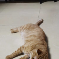 ���õ��ҵ�һ�죬���ۿɼ�������