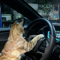 ���Ǽҵ�è���Ǵ���ʲôְҵ�ģ�