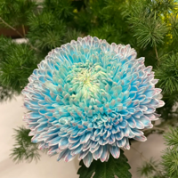 ĵ���յ�����