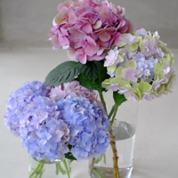 ���������~�������ĵ�