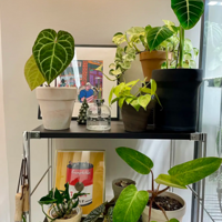 ֲ��ܵ�100�ֿ���