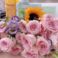 �����µ����µ��ʻ�