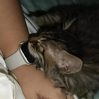 ���Ұ��ҵ��꣡