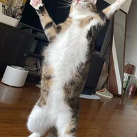 û������һ�£���Ȼ��ô�з����껨��