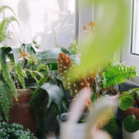 ���ӵ����꣬���ڰ�ֲ������������ϲ�������ӡ�