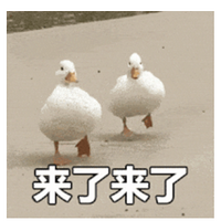 ǰɩӱҥŭ忡Ѿ޿˰ɣ