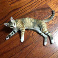 ɹɹ�ҵĻ���С�ꡫ