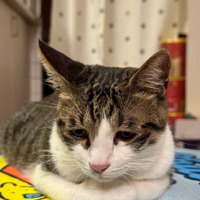 Сʱ�������ܿɰ�����ô��Խ��Խ���ˣ���������������