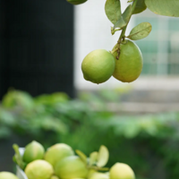 ¶̨���� ����ҲҪ����