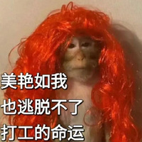 97ֵŷѧ12.9èʿͲ 5˫19.9