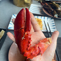 ׼˳һκʡʲô