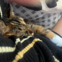 �Ҿ����ҵ��걦�ð���