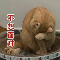 èè̫���ˣ��̲�ס����һ��