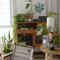 ����Сɭ�֣��쵼���̲�ס����ֲ��Ǻ���̨���ҵĲ���