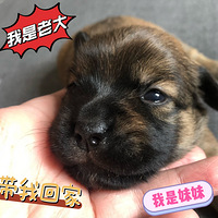 ��Ϧ������С������