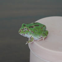 ���ֽ�����������