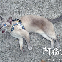 ʱ��һ�꣬�޻���ɽ