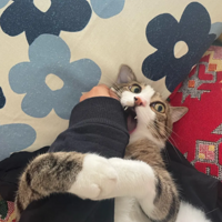 ����Կ��ɣ��Ĵ����ǵ�