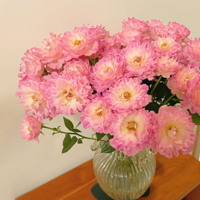 ���������������������ľ���õ����