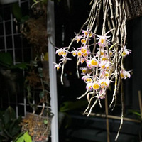 ����ġ�Сɭ�֡� �������ĳɾ͸�