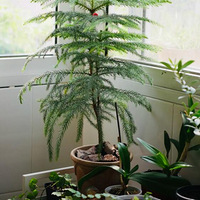 �޾����⣬��������