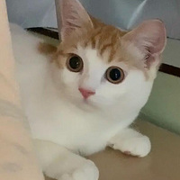 ������������ܾ����Ǳ���ȱ�˵�