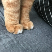 ������Χ������սѥ