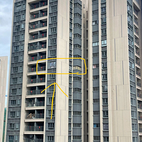 ���������ھӣ������û�취����