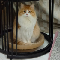 �ǲ������ڶ�������������