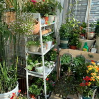 ���С��̨�������ֿ���