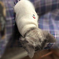 ������С���ӳ��úܺ�Ӵ~~~