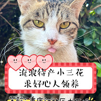 ���������˴�������������