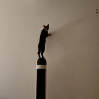 û�¶���һ�°ɣ���������...