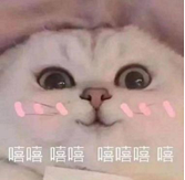 һͨ
