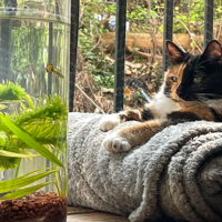 �Ҿ���Ҫ����ҫ�Ҽһ���