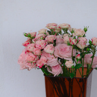 ����ĵ�һͰ��