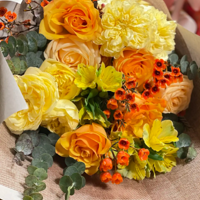 ���������һ����Ұ�����������������������