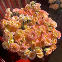 ��ϲ������ȫ��������ů������Ц��������Ѥ���ɱ�ȫ����