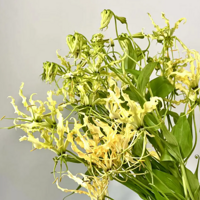 С�ڻ���-�ۻ�ɫ�ļ���ʵ��̫����