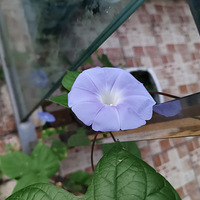 �Լ������������Ȼ�