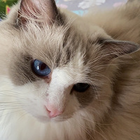 ż������������