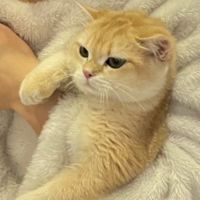 �������ѻ�����������Ȼ�ܰ�