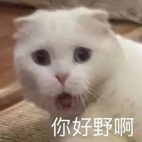 ֮ʵģѧһ뵱ҵ