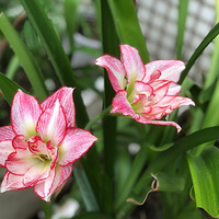 �ҵ��������