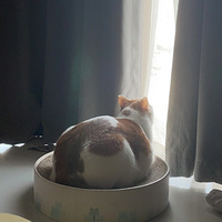 �����Ǻþò�������������¶����