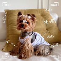 �ҼҾ���������������¼���ڡ�